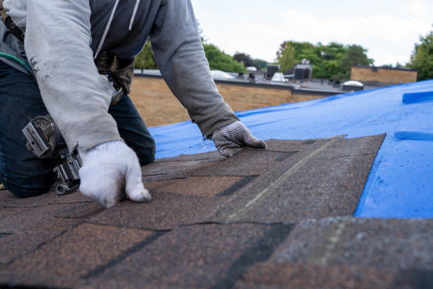 Best Roof Repair Services  in Syracuse, KS